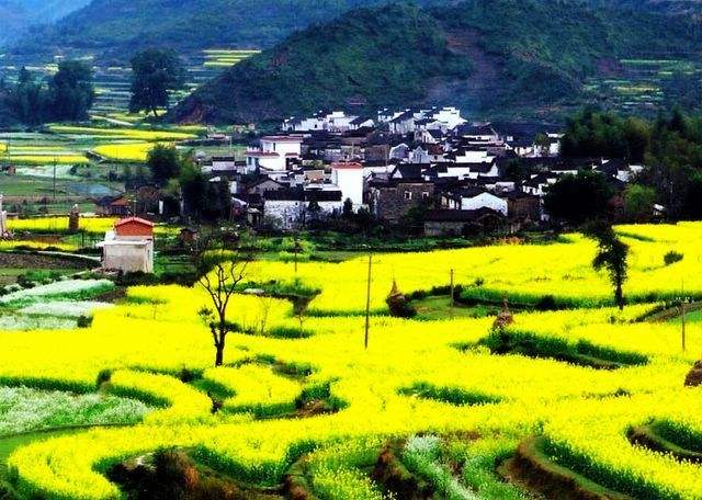 Wuyuan Scenic Area in Shangrao, Jiangxi