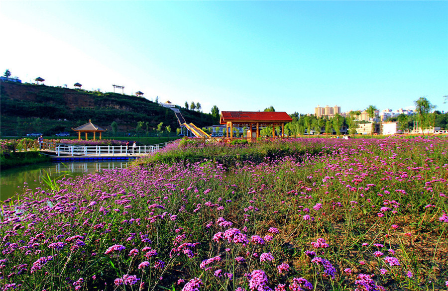 Caohai Lake in Bijie