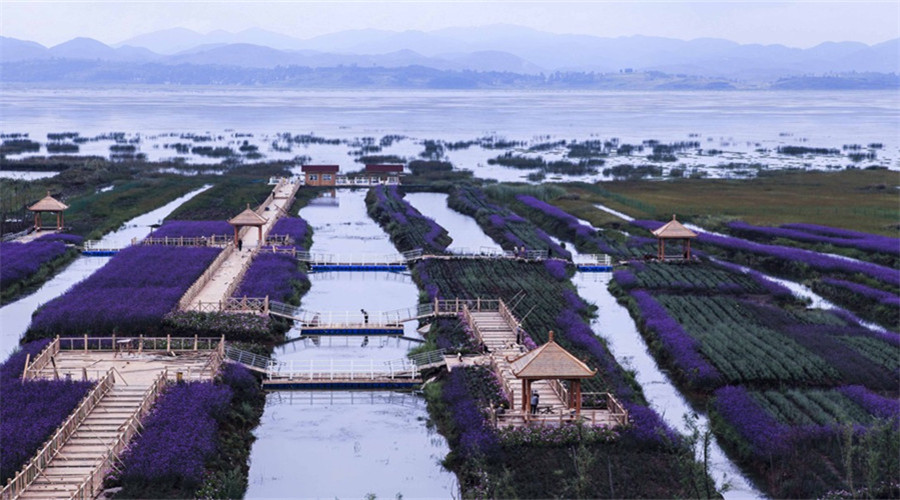 Caohai Lake in Bijie