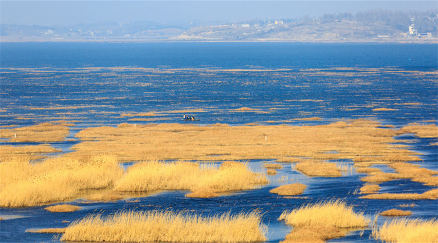 Caohai Lake in Bijie