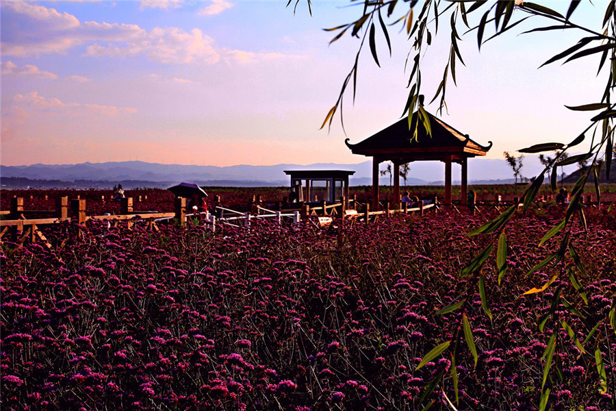 Caohai Lake in Bijie