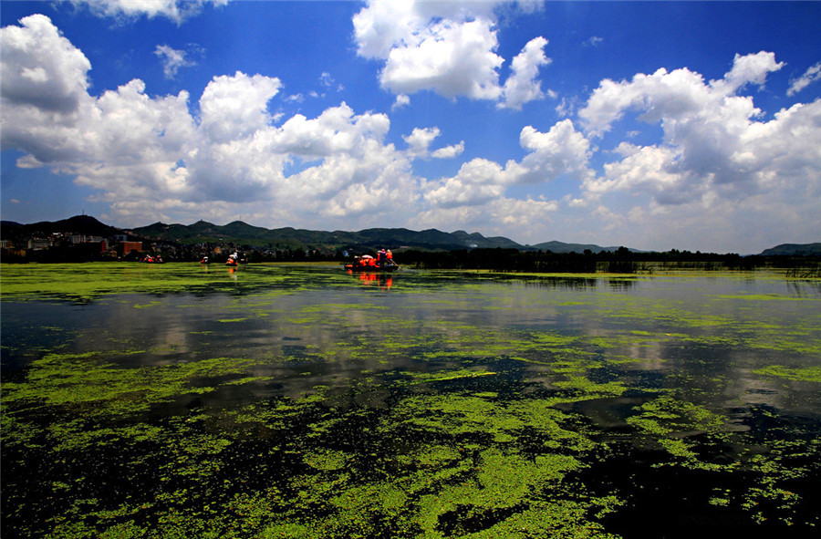 Caohai Lake in Bijie