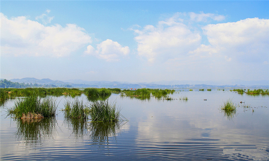 Caohai Lake in Bijie